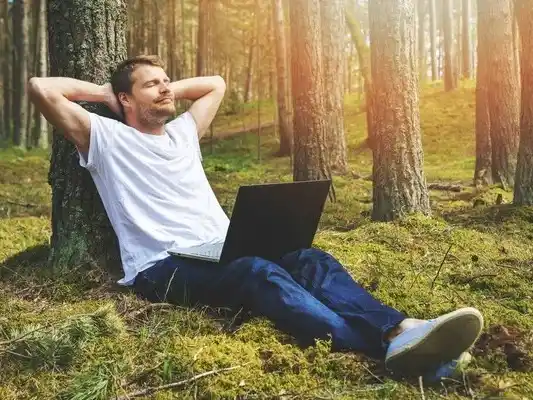 Cómo entender la conexión entre bitcoin y el dólar más allá del precio