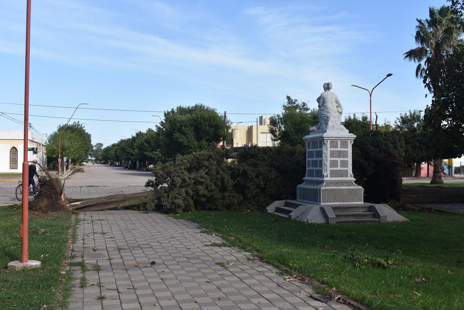 Arboles caídos en Plaza San Martín