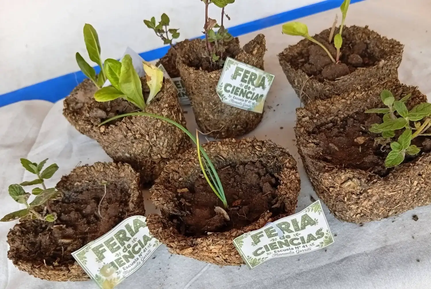 Feria de Ciencias - Sexto Distrito