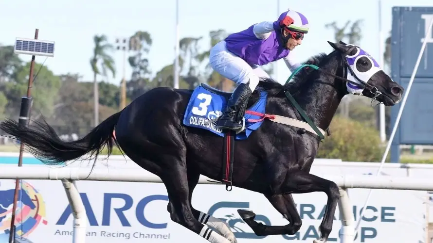 Colifato Novo es la figura del Clásico Southern Halo (G3), en San Isidro.