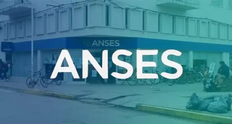 Anses: ¿cuándo comienzan los pagos de enero?