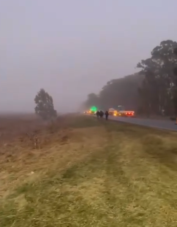 Qué es la niebla engelante, el fenómeno que produjo múltiples accidentes
