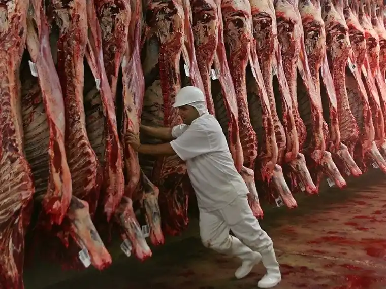 La faena bovina cortó el tobogán y vuelve a aumentar la oferta de carne