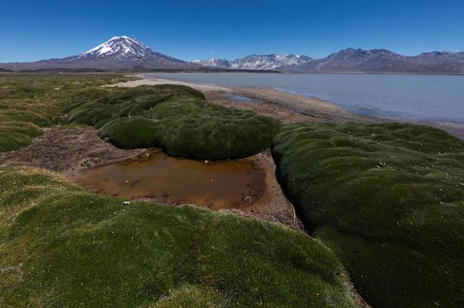 Mendoza habilita Áreas Naturales para turismo interno