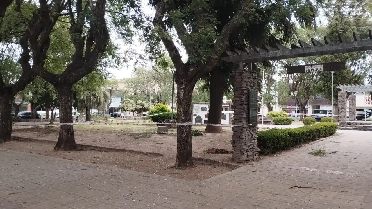 Señalizaron “zona peligrosa” por las piñas en plaza Belgrano