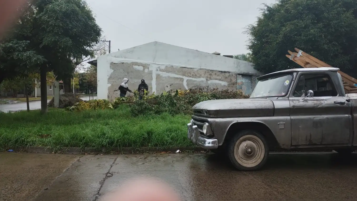 Marcos Madariaga poda