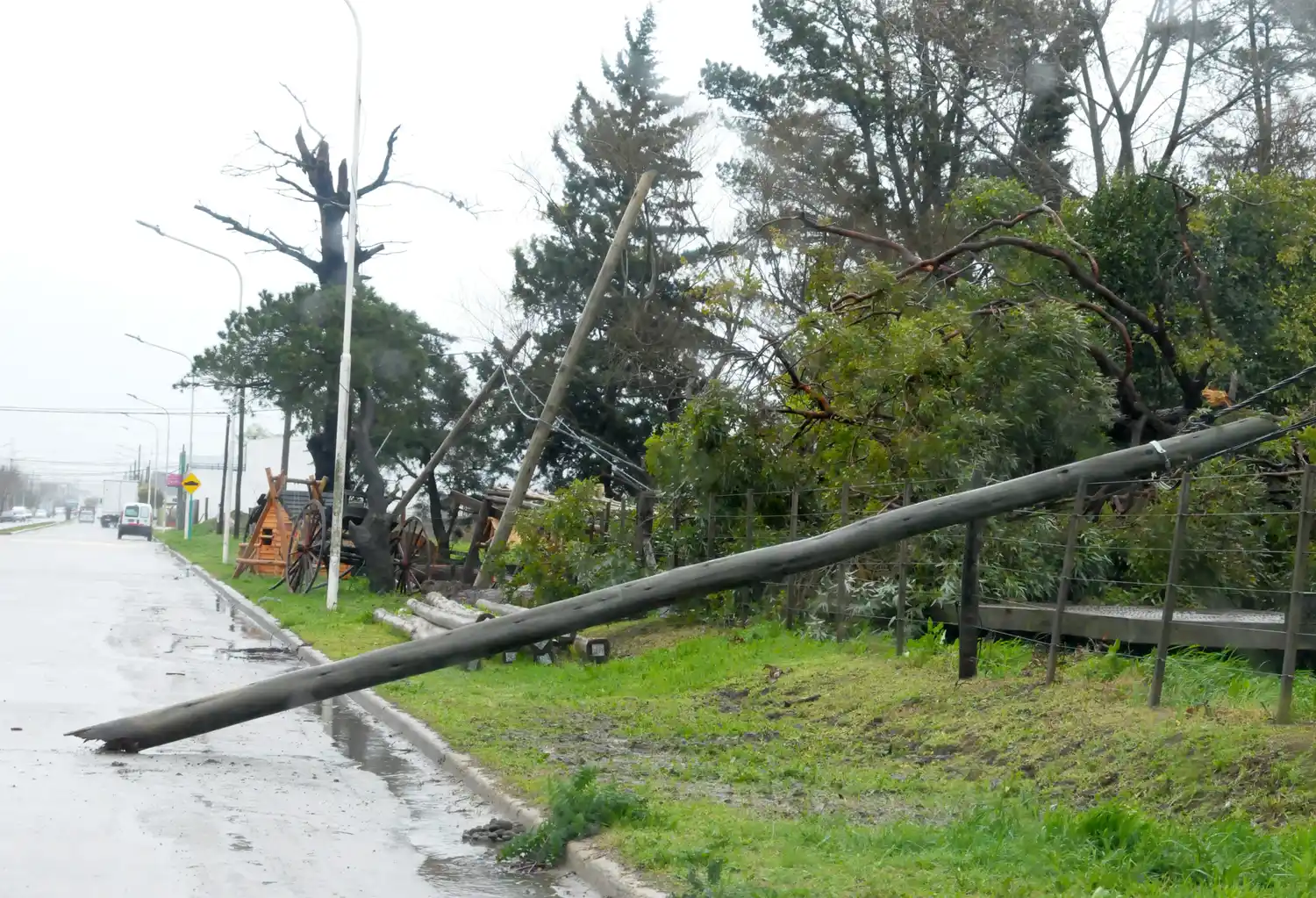 Temporal 09-09-21 (4)