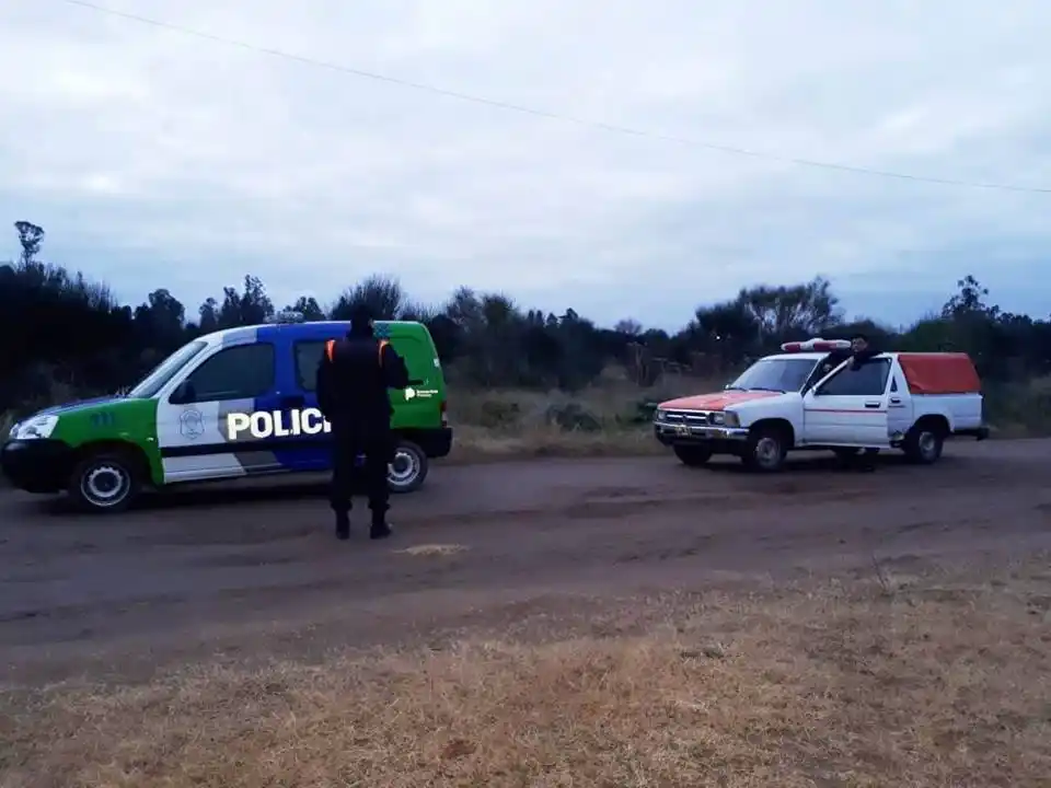 Investigan  animales muertos