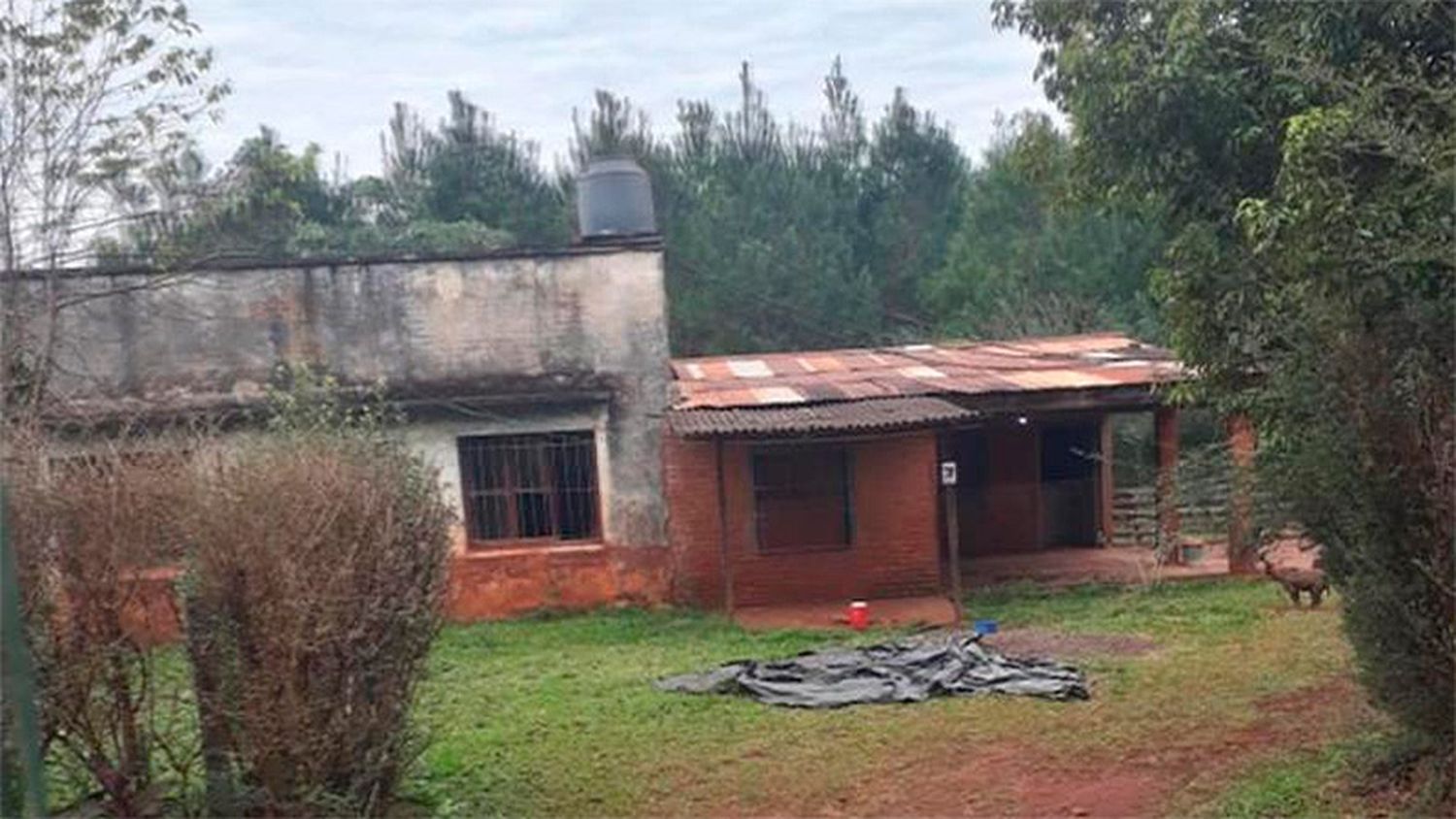 Mató a su pareja a tiros y se quitó la vida: tres niños quedaron huérfanos