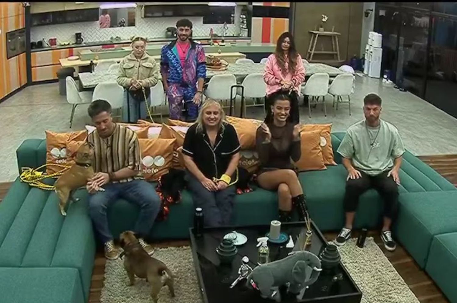 Gala de eliminación