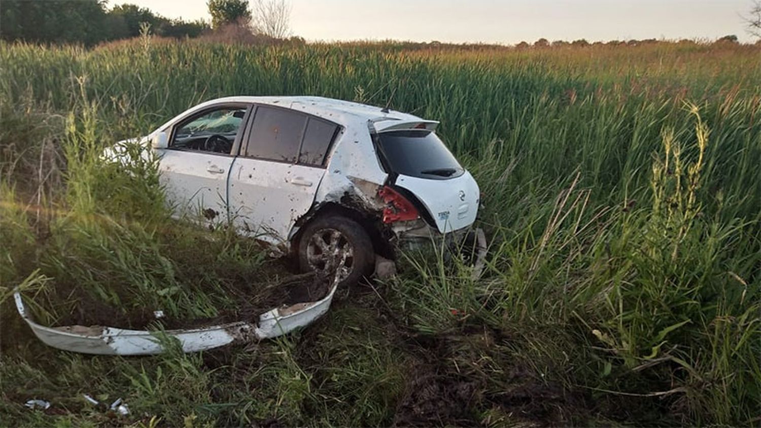 Se le atravesó una liebre en el medio de la ruta, intentó esquivarla pero chocó y volcó 