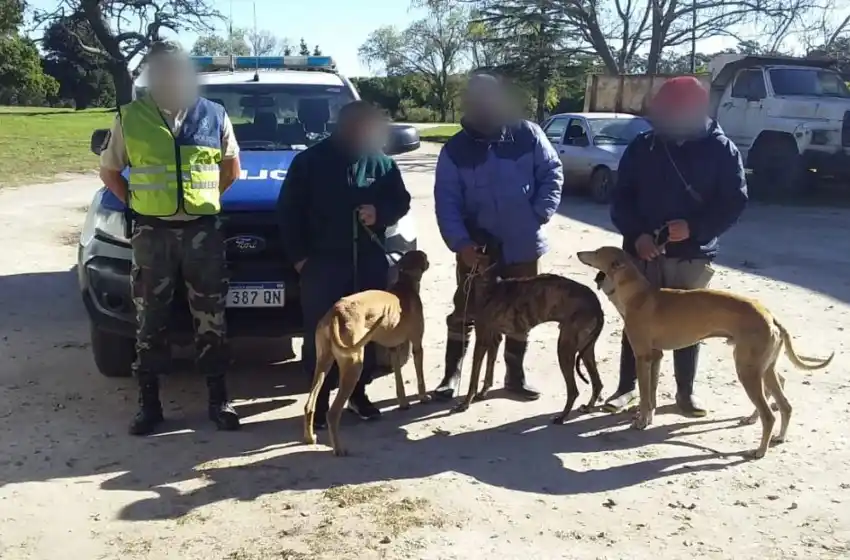 Atrapan a cazadores furtivos: llevaban galgos y cuerpos de animales