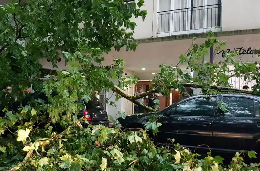 El temporal provocó diversos destrozos en la ciudad