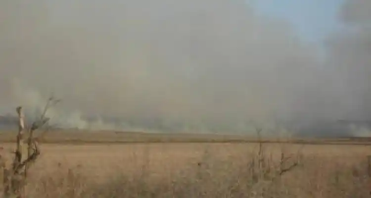 Productores denuncian incendios intencionales de campos y granos
