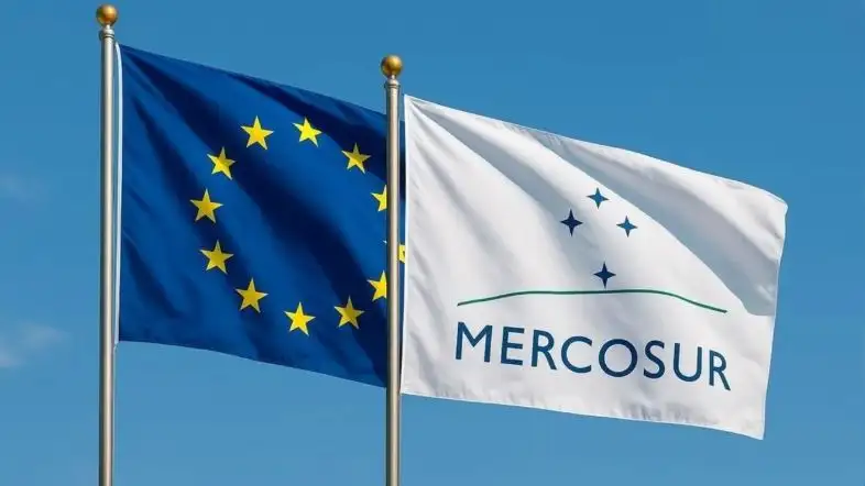 El país alcanzó las 333 toneladas previstas en el acuerdo Mercosur-UE.