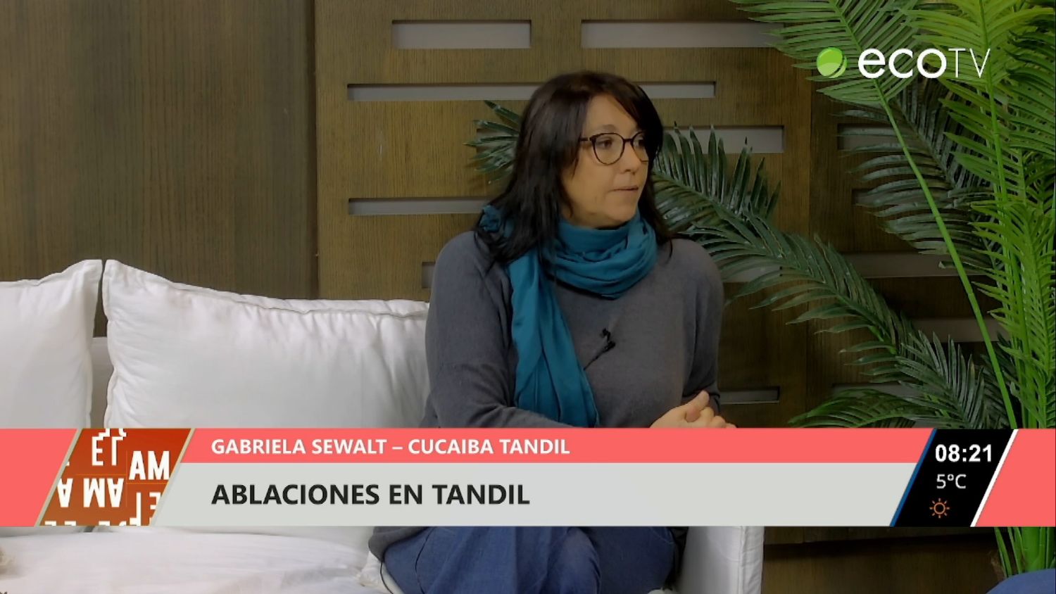 Recientes ablaciones de órganos en Tandil