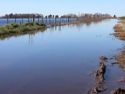 Casi seis millones de hectáreas provinciales se vieron afectadas por las inundaciones.