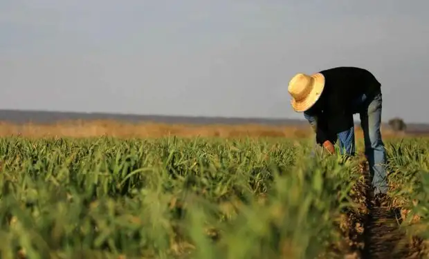 Otorgarán más de 2 millones de pesos a emprendedoras rurales