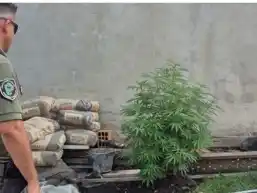 allanamiento en Las Tunitas - 1