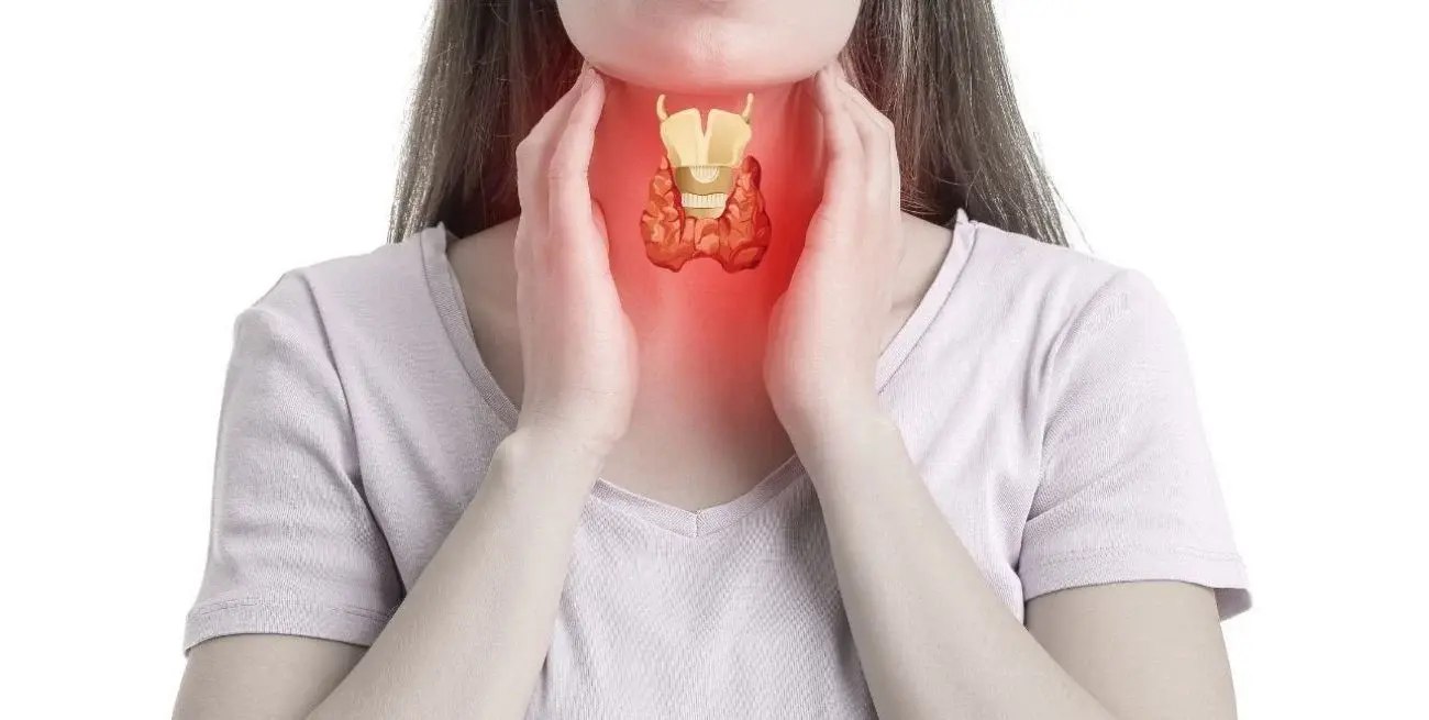 Se busca generar conciencia sobre la importancia de controlar el funcionamiento de esta glándula ubicada en el cuello . Crédito: Gentileza