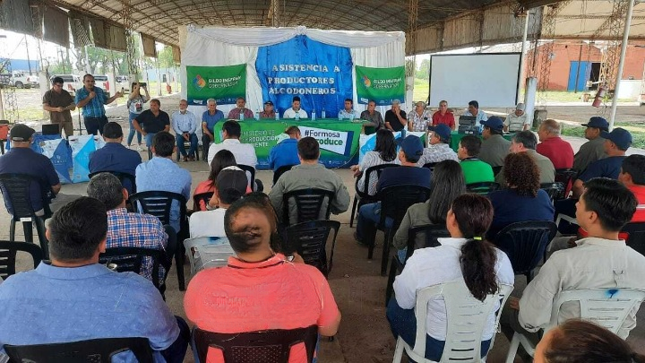 El Gobierno provincial lanzó la campaña algodonera 2024/2025