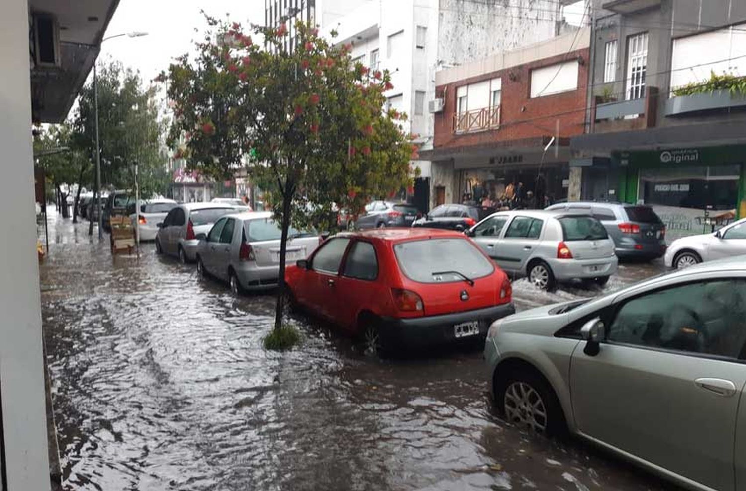 Una fuerte granizada sacudió a Mar del Plata