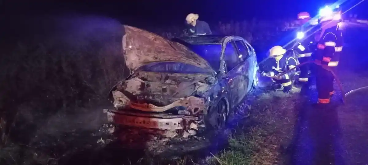Se incendió un vehículo en la ruta 85 en proximidades de Indio Rico
