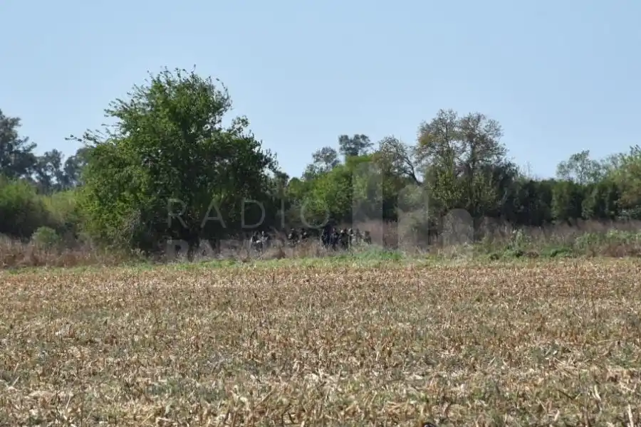Encontraron el cuerpo de una joven en un camino rural de la ciudad: no descartan que se trate de un femicidio