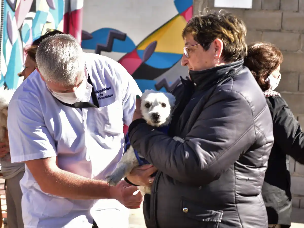 Continúa la vacunación antirrábica: este jueves, en barrio Maipú 