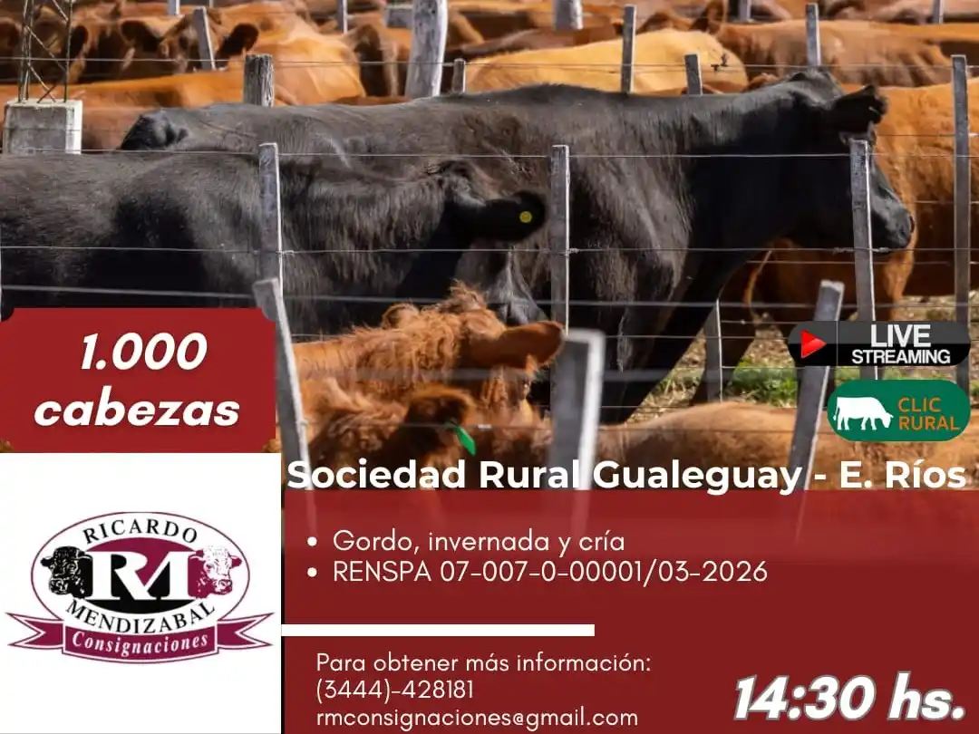 Gran remate parea el 25 de febrero