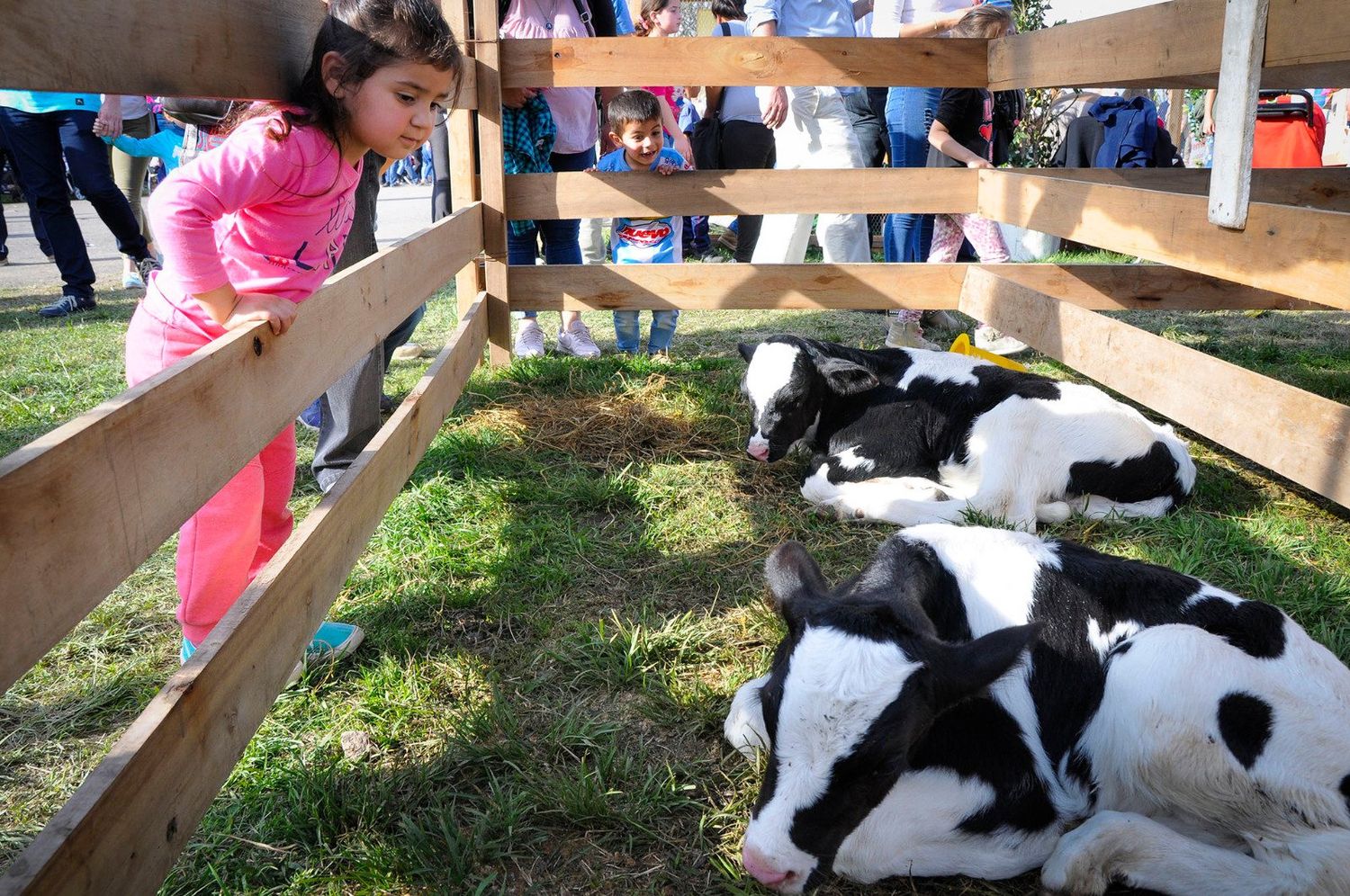 Instituciones, entidades y estudiantes se suman a la Expo Rural