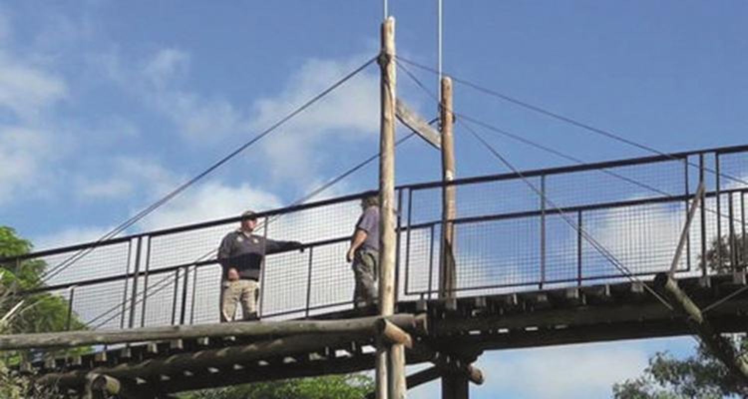 Nuevos arreglos en la costanera