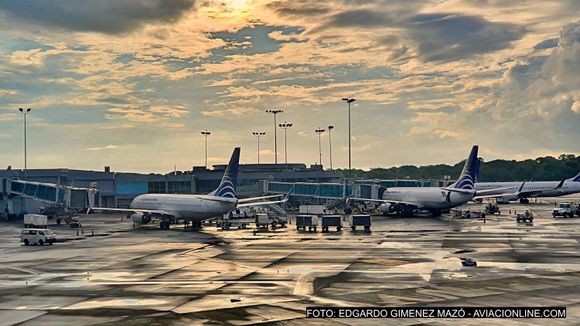 Copa Airlines proyecta cerrar 2025 con más de 375 vuelos diarios a 88 destinos