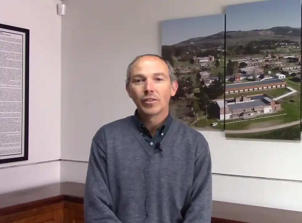 Briquetas de biomasa - 2