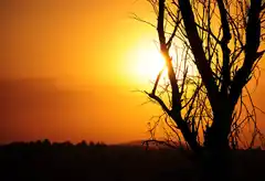 Cielo rojizo en el atardecer, postal que es consecuencia de los incendios de Australia