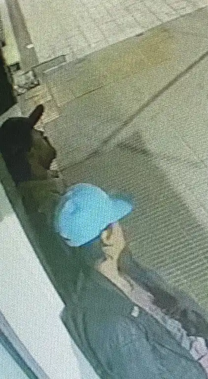 En las cámaras se puede ver a dos jóvenes con actitud sospechosa que se pasean por el lugar. A los pocos minutos, se observa a lo lejos como escapan acarreando a mano el vehículo robado.