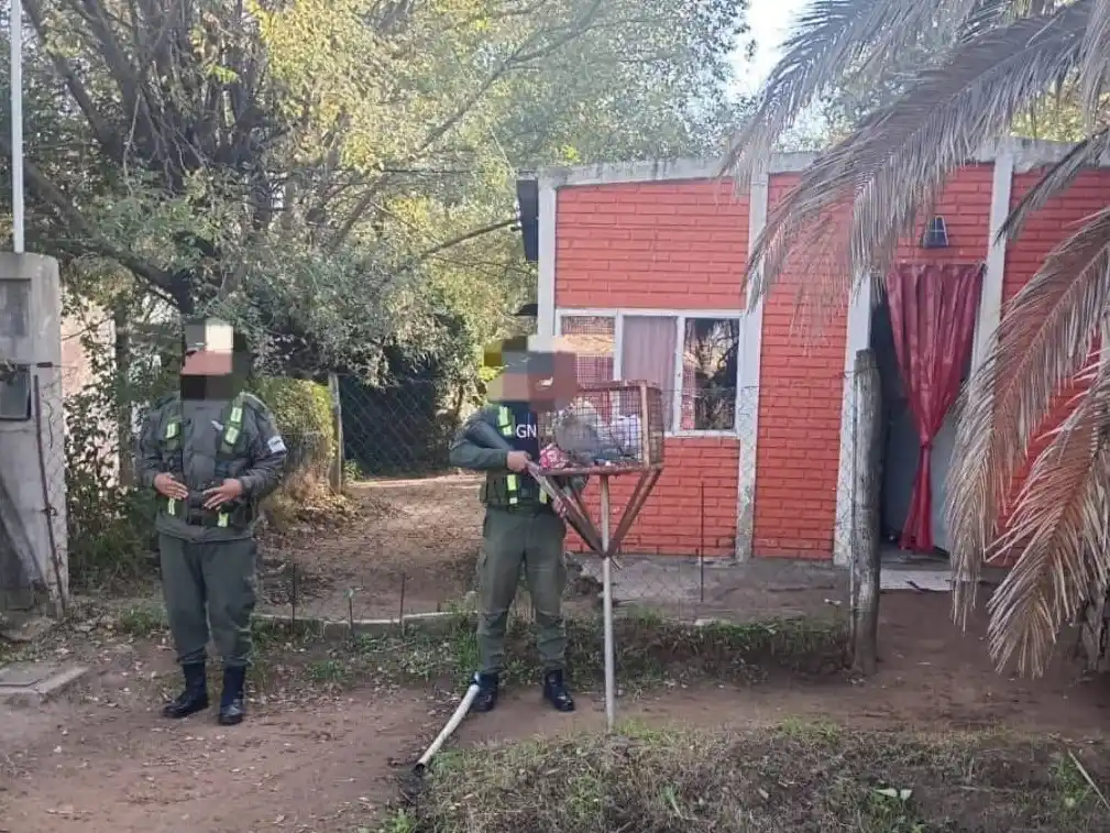 Se realizaron un total de 14 allanamientos. Foto: Fiscalía Federal