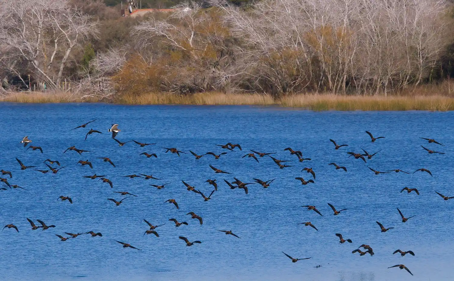 La Provincia lanzó web con información turística, protocolos vigentes y requisitos para viajar