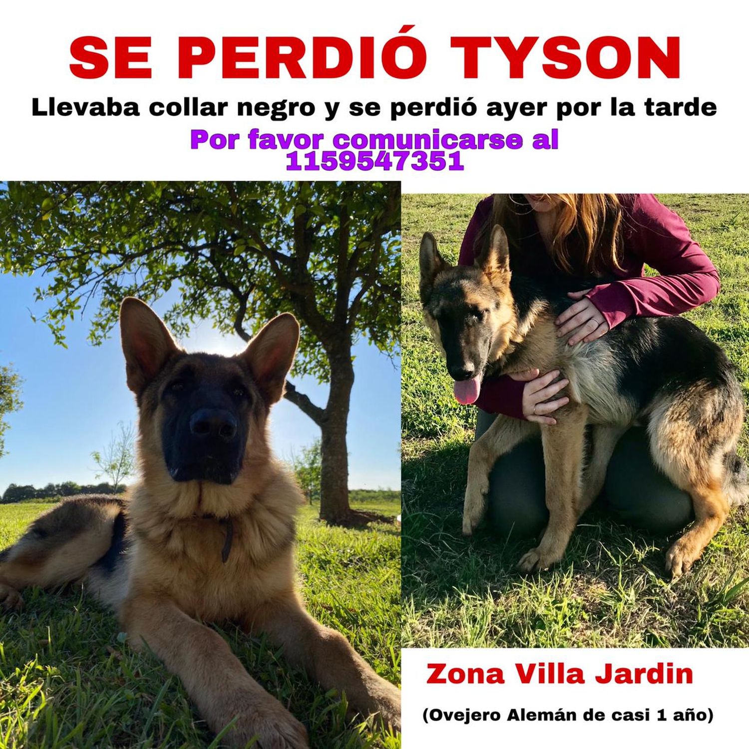 Buscan a Tyson