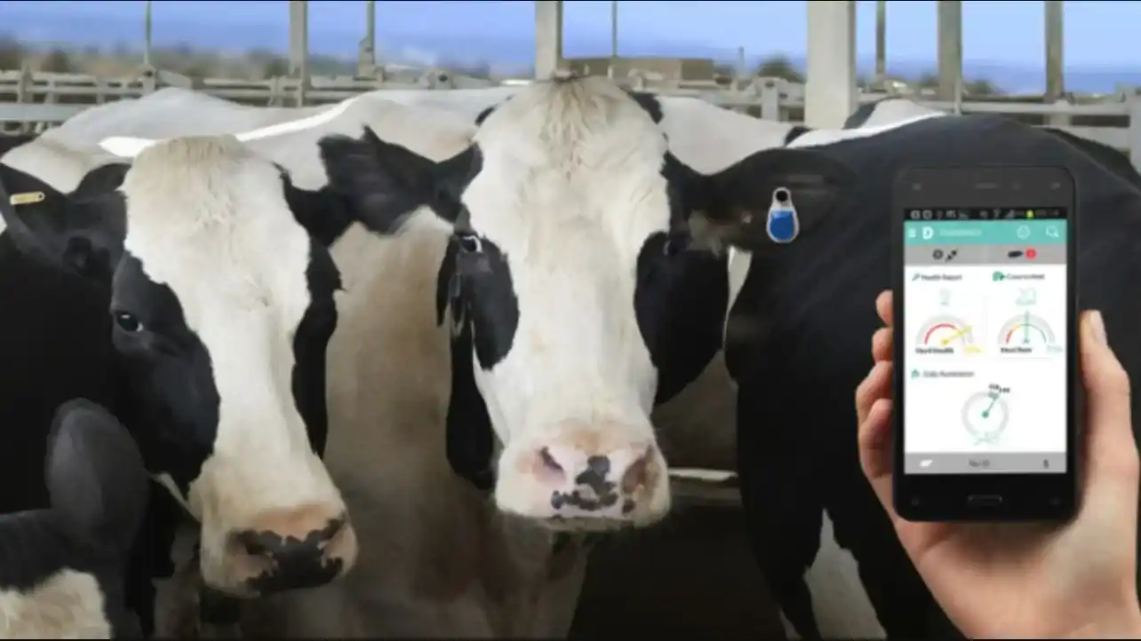 Sanidad animal, tecnología y prevención, el cambio silencioso que redefine la producción ganadera