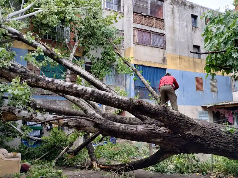 Sin luz en barrios de Florencio Varela: El municipio intimó a Edesur por carta documento