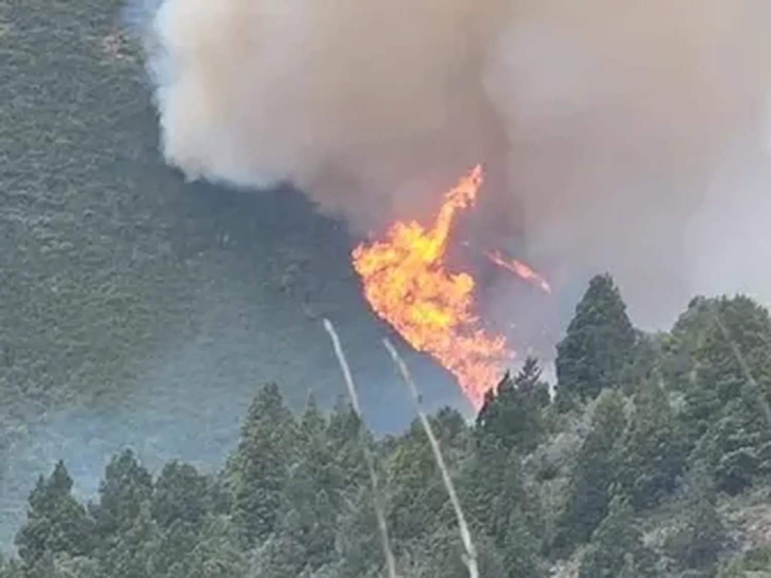 Un hombre admitió haber originado el incendio forestal en el cerro Meta