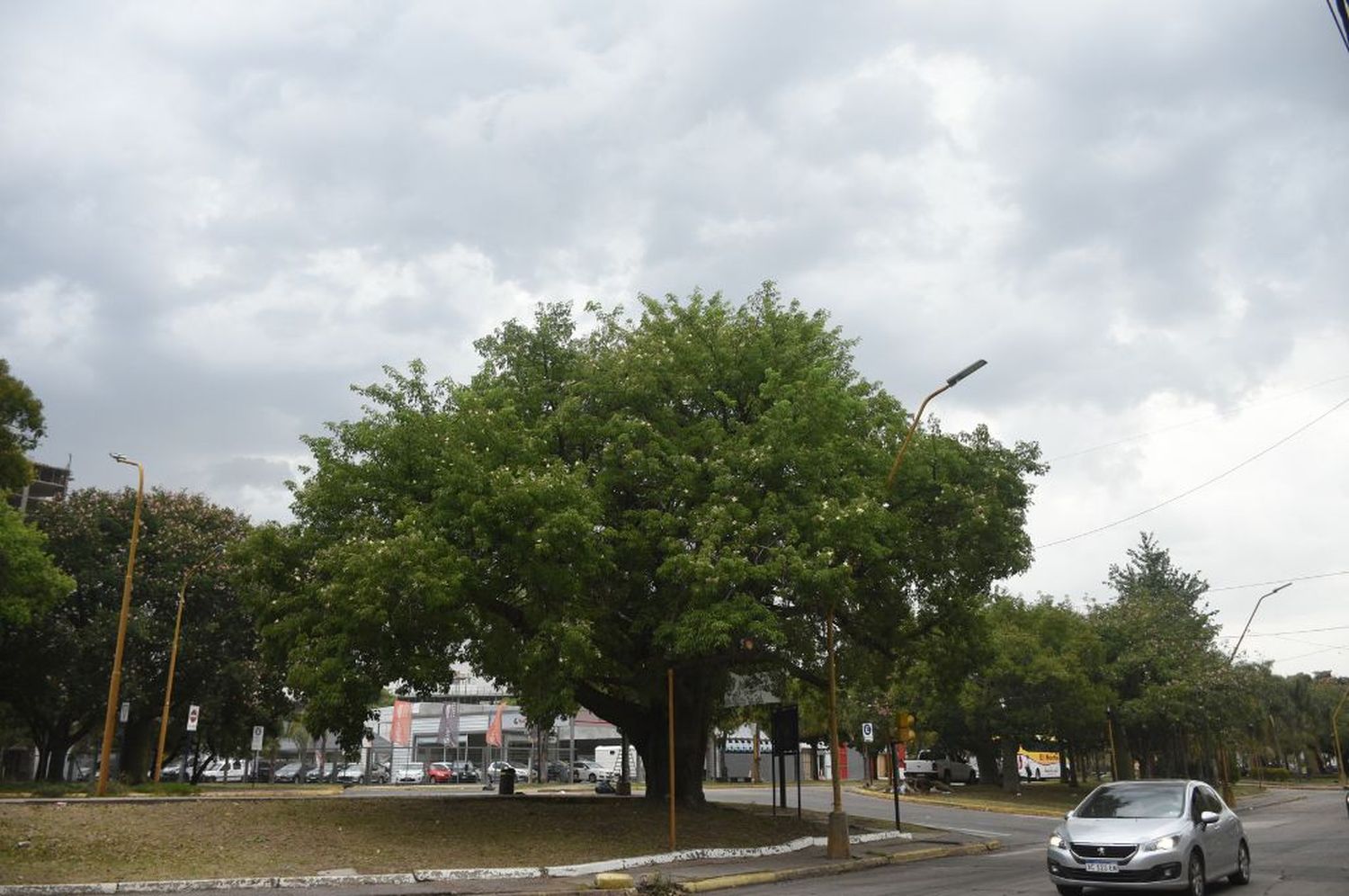 Martes con probabilidad de lluvias en la ciudad de Santa Fe