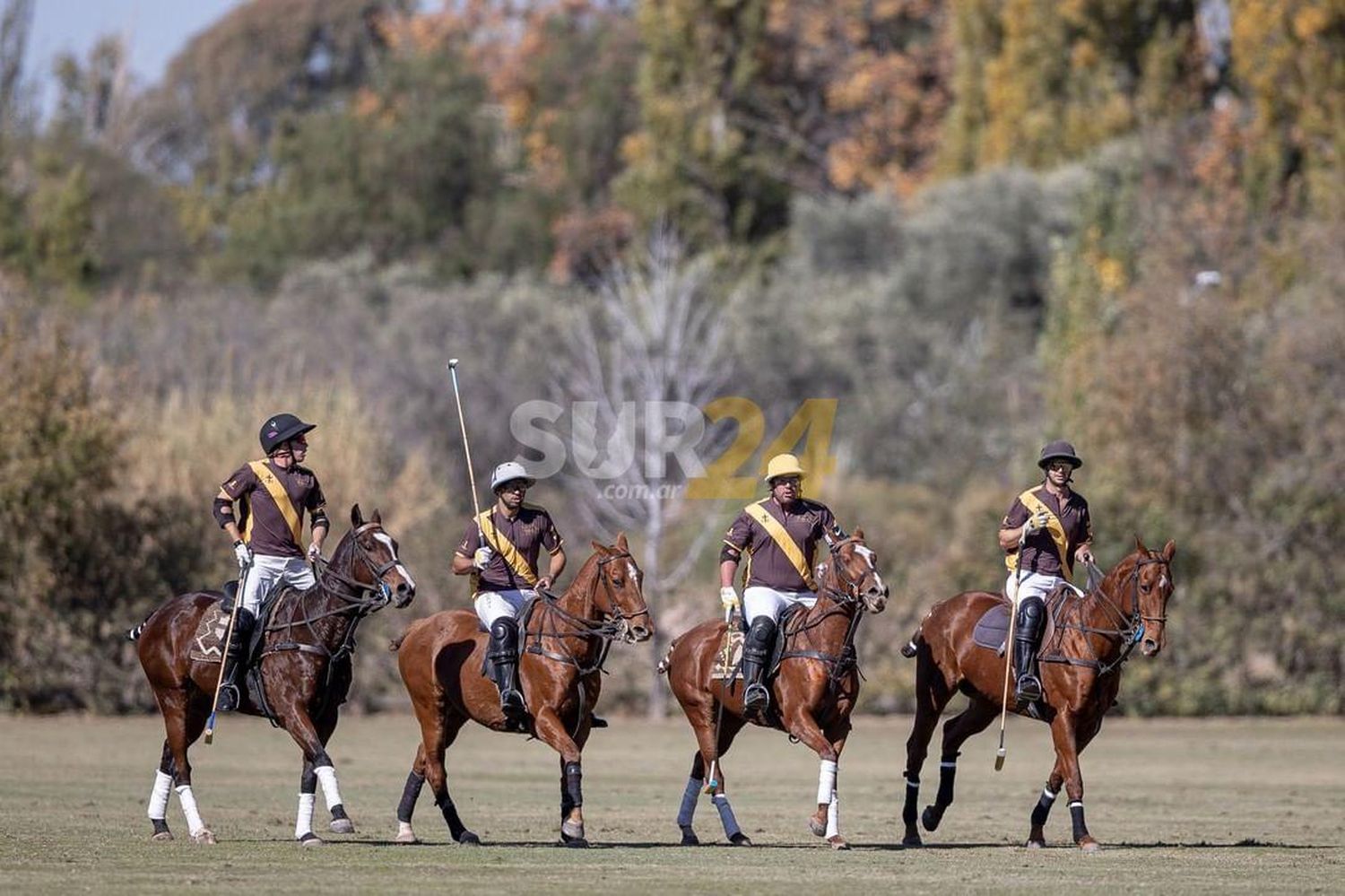 Polo: nueva victoria de Venado en el Campeonato Argentino