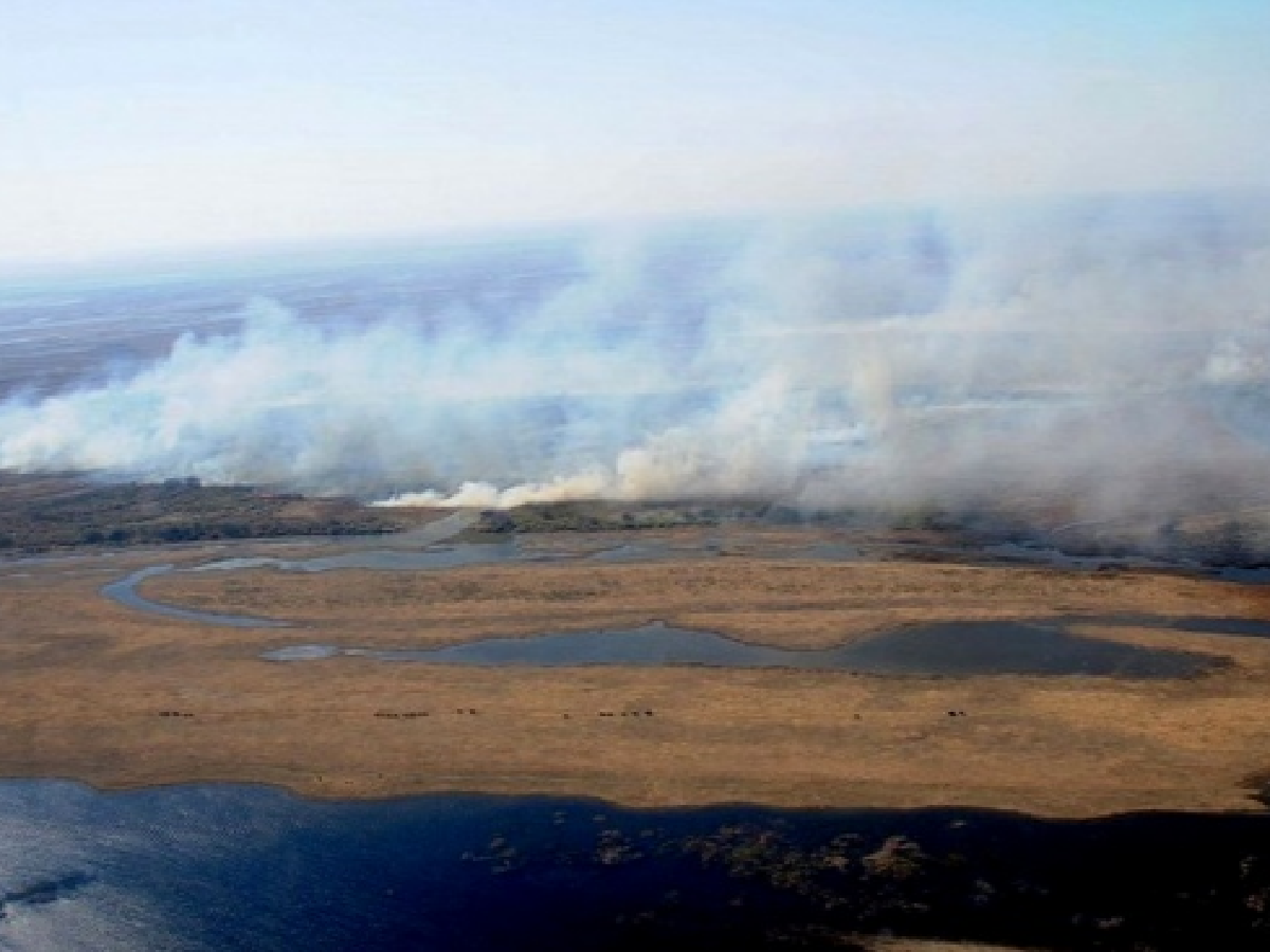 Los incendios no ceden en el delta del río Paraná y Rosario amaneció invadida de humo
