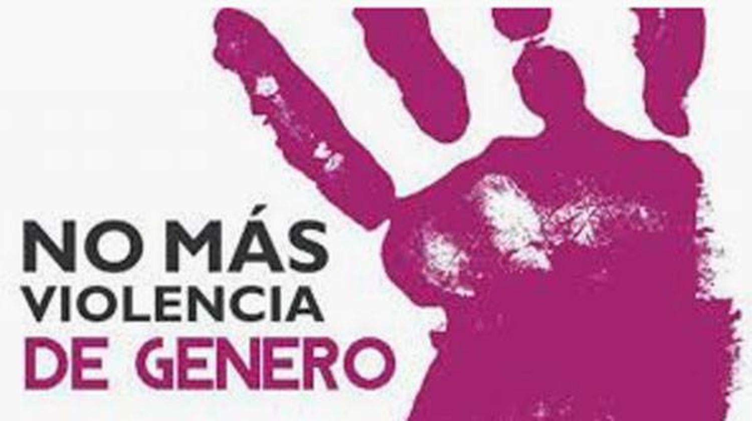 Defensores del país piden  mayor resguardo hacia las  víctimas de violencia de género