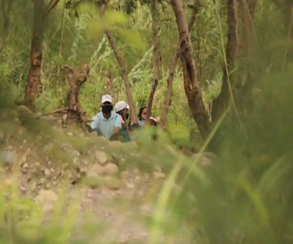 TROCHAS INFERNALES: reportan más de 200 desaparecidos en 13 años