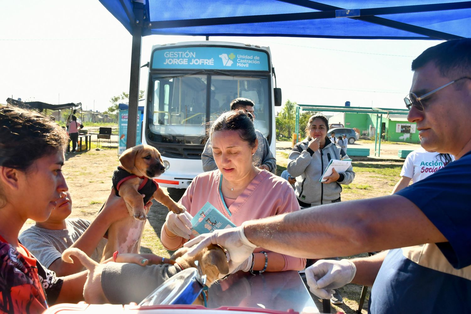 El Castramóvil Municipal visitó el barrio 28 de Junio