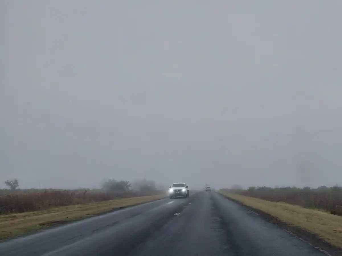 Alerta violeta por niebla en Entre Ríos: fuerte reducción de visibilidad y recomendaciones para circular