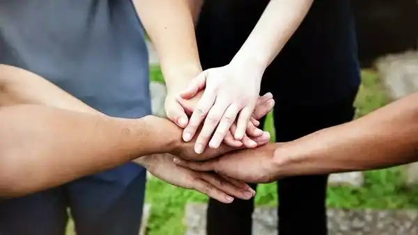 Prevención. Será la función de la ONG